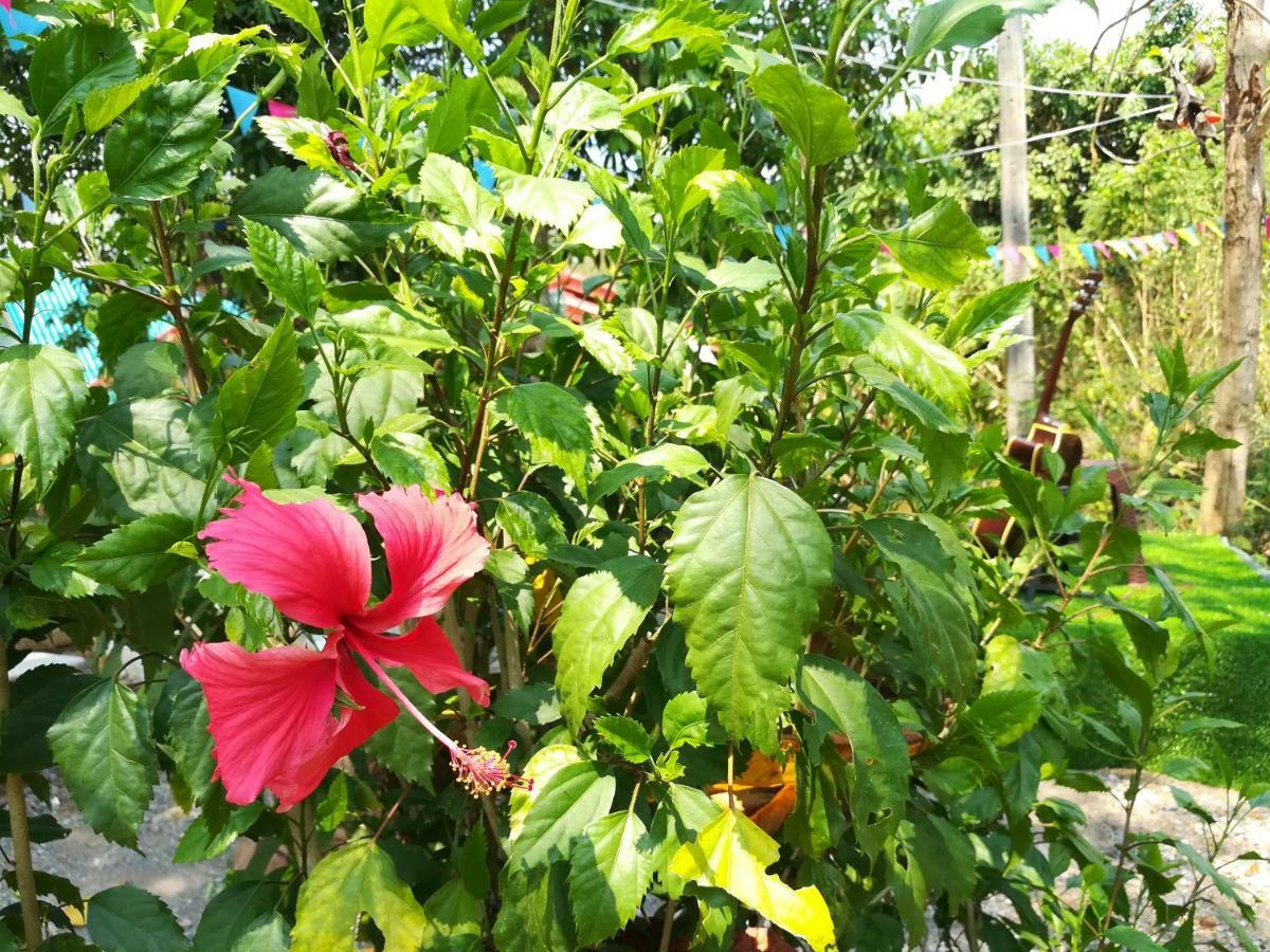 Star View Garden Villa Sai Yok Exterior photo